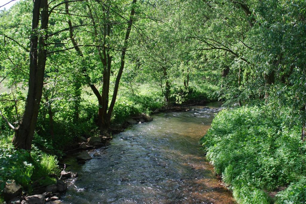 Hotel Am Steinertsee Kaufungen المظهر الخارجي الصورة